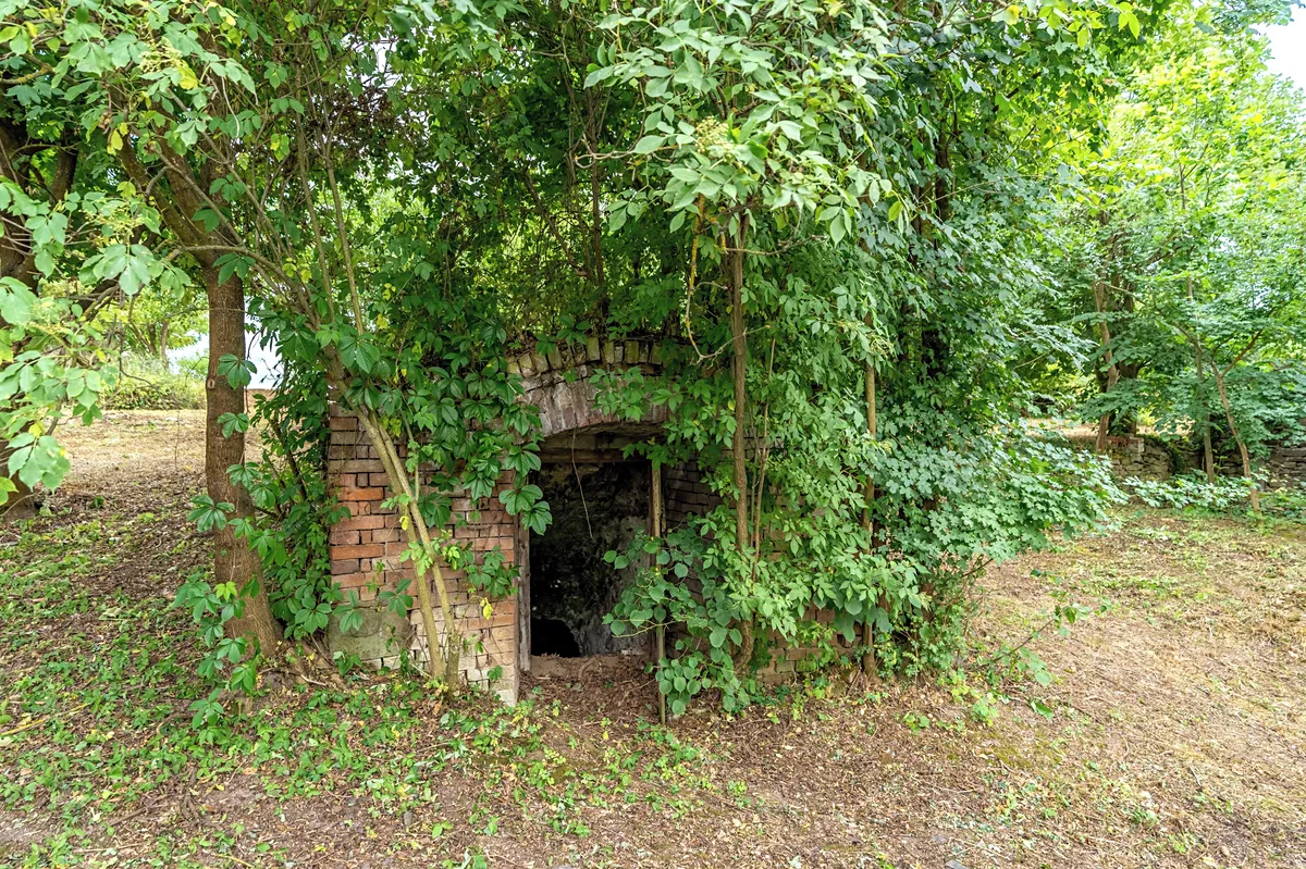 Fotka 9 z 13